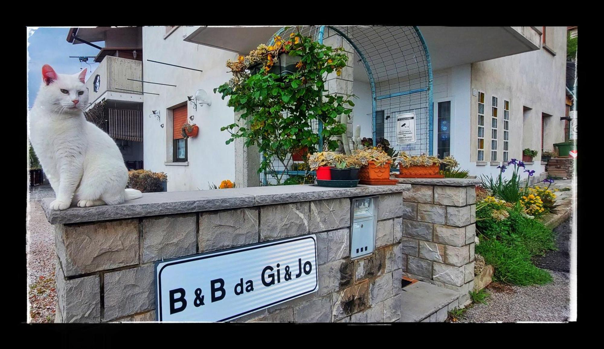 B&B Da Gi&Jo Forgaria nel Friuli Dış mekan fotoğraf